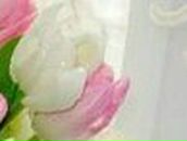 Наталья Бякова | 