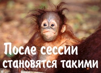 Анна Спесивцева | Харьков