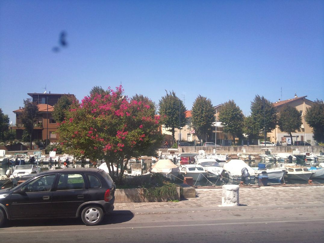 Дмитрий Дорошев | Москва