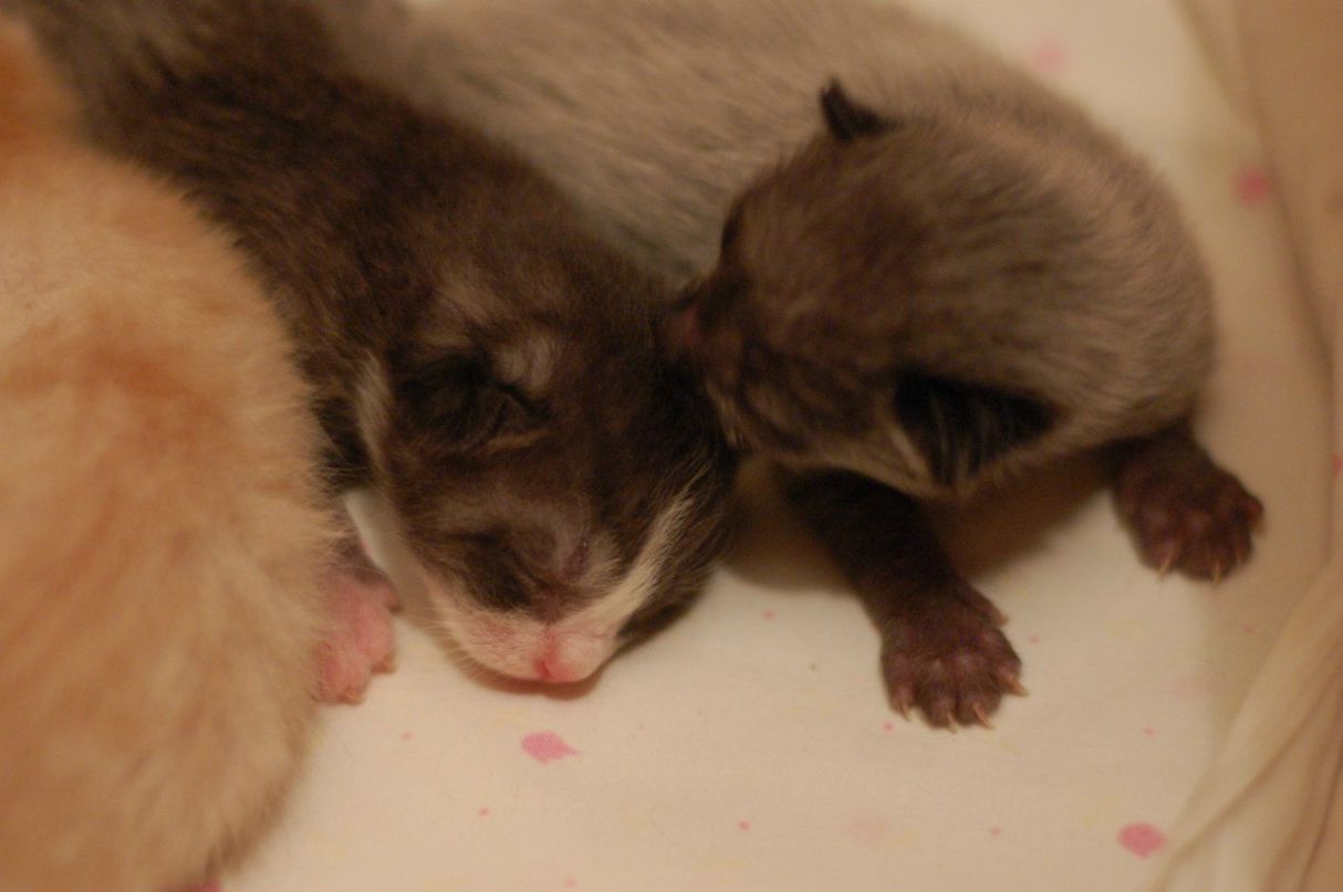 Асенька Исаева | Владивосток