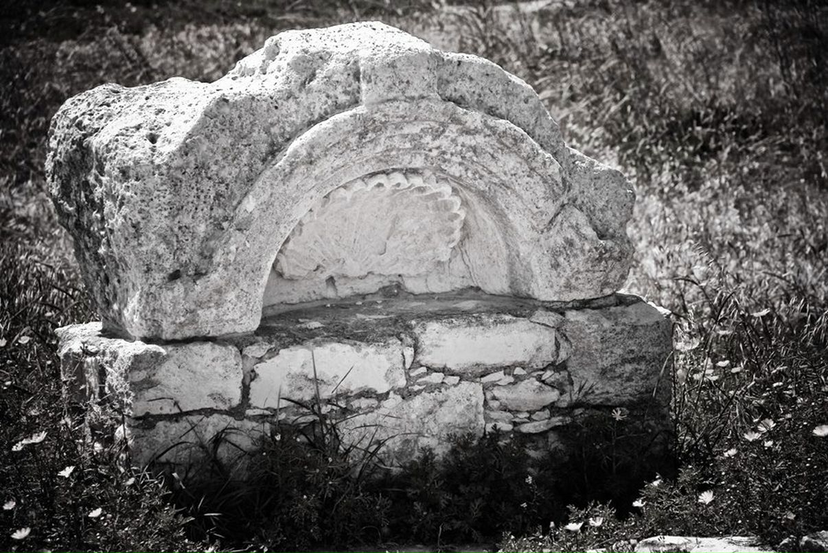 Mikhail Chipurnoi | Москва