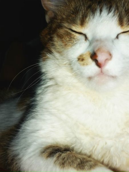 №24, Кристина Диас, 25.7, Москва №24, Кристина Диас, 25.7, Москва