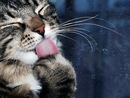 №8 Анна Сохина 16.01.1992: профиль, фото, статус - ВКонтакте