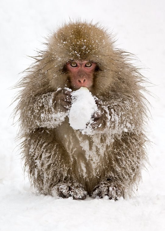 Анастасия Световая | Москва