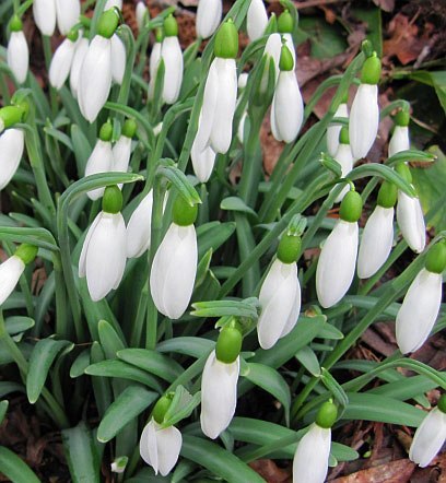 Натали Natalia | Васильков