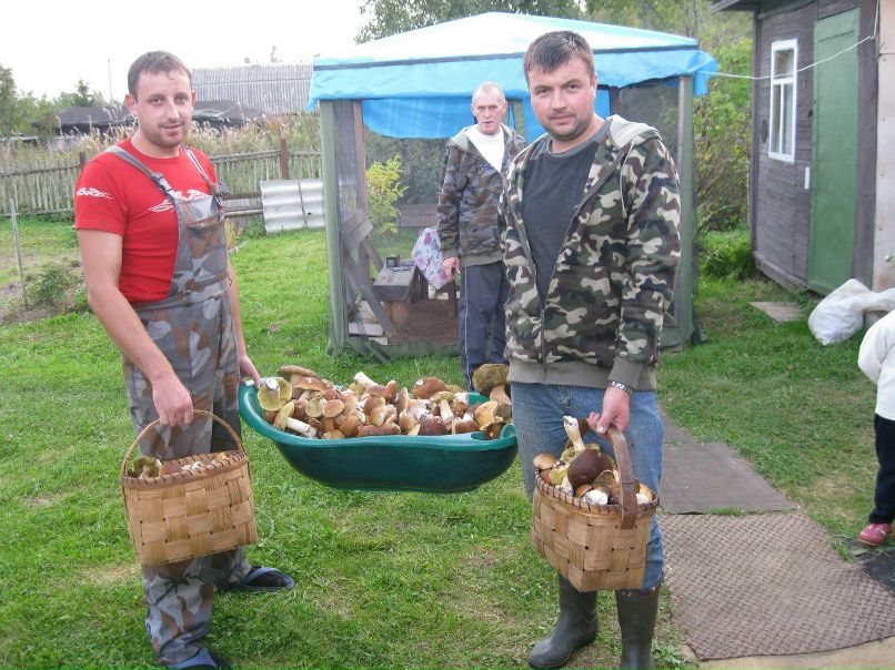 Сергей Чуйко | Кингисепп