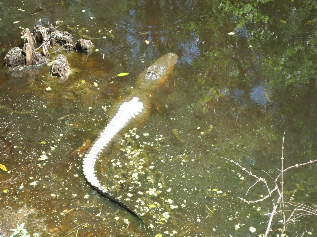 Дмитрий Ростягаев Rostik | Москва