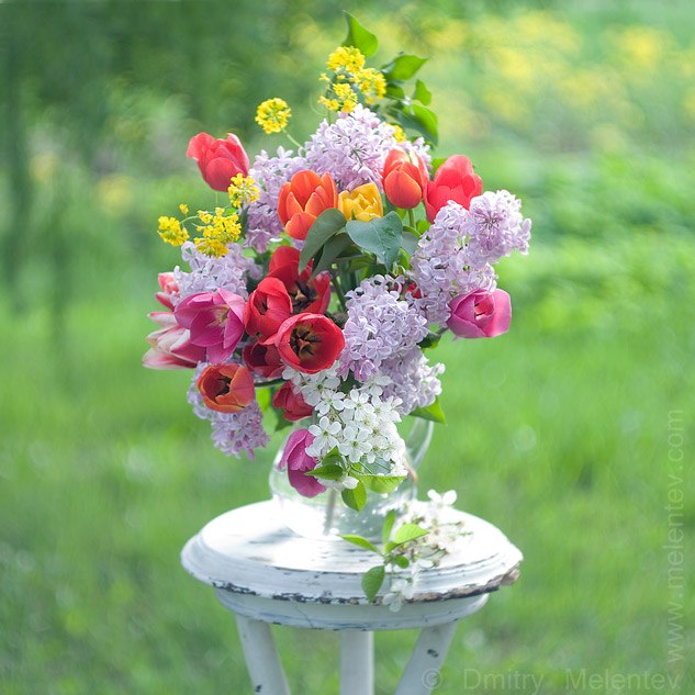 Елена Волкова | Чебоксары