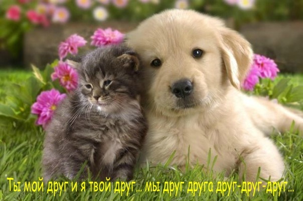 №15, Галина Каралаш №15, Галина Каралаш