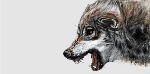 №86, Валентин Быков, Ижевск №86, Валентин Быков, Ижевск