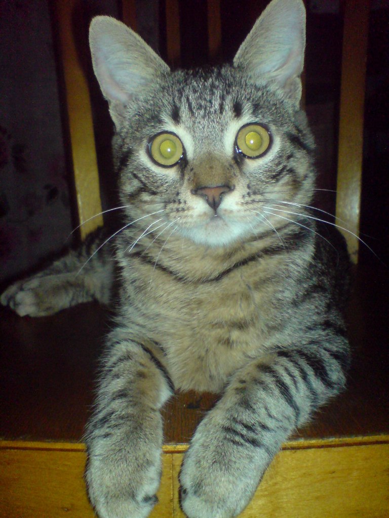 Ирина Елисеева | Одесса