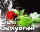 №2 Вусал Фарманов