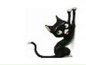 Эльвира Костерина | Боровичи