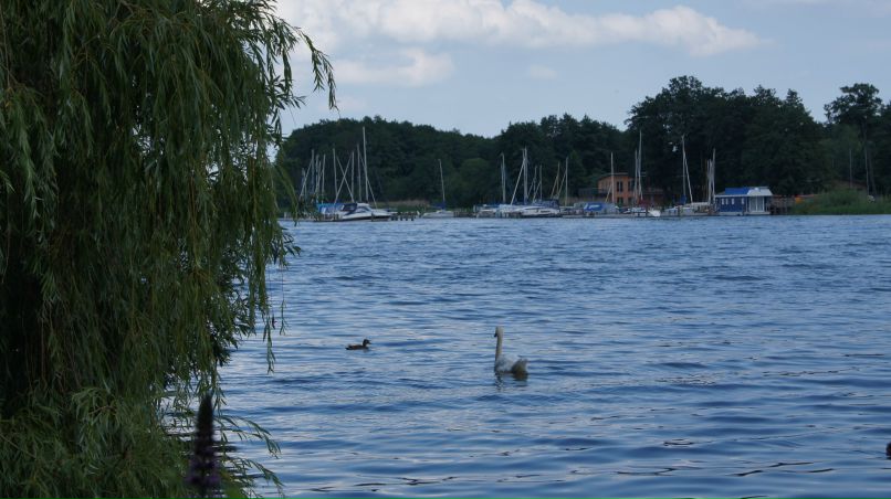 Виктория Каратаева | Красноярск