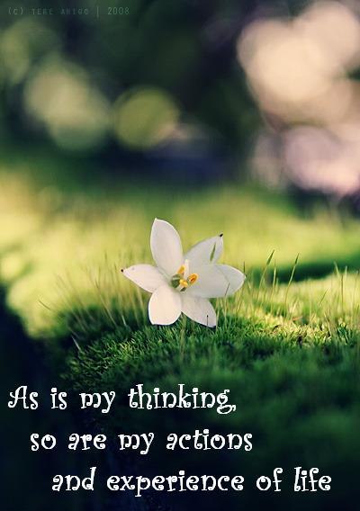 Ирина Токарева | Москва