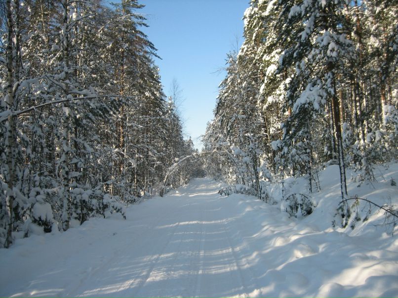 Тофсла Вифсла | Санкт-Петербург