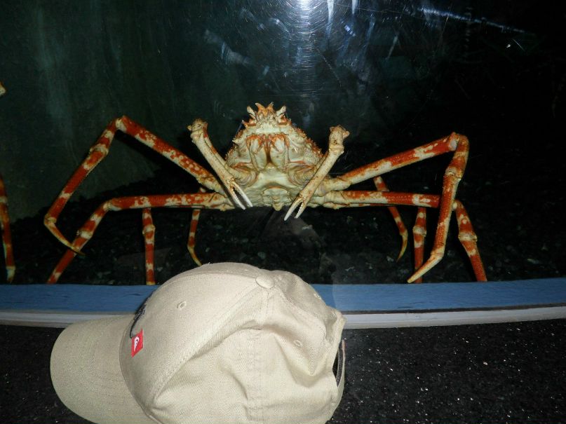 Naira Nersy | Харьков