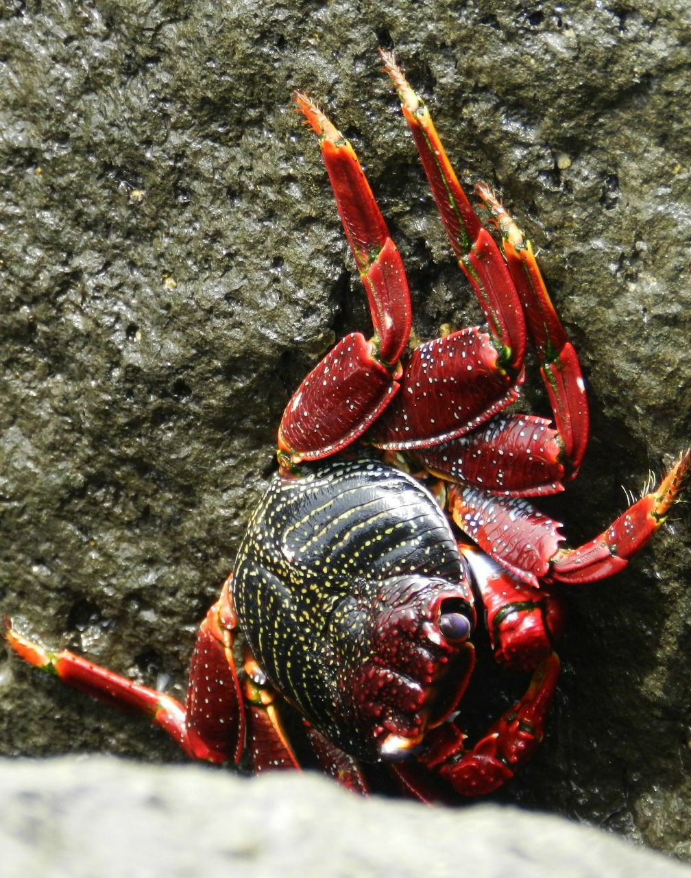 Наташа Смирнова | Москва