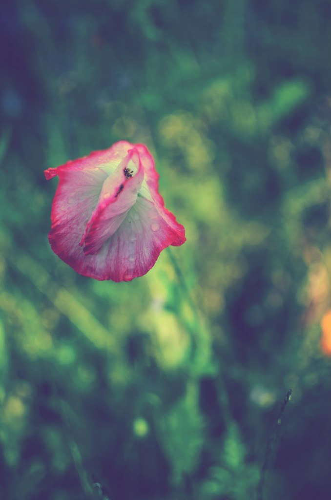 Катерина Захарова | Саратов