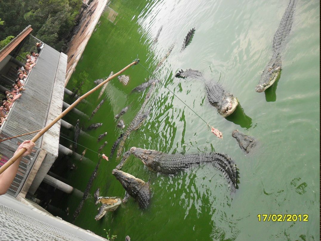 Святослав Рейхарт | Москва