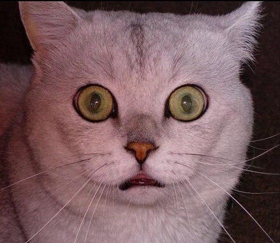 Дмитрий Мазур | Киев