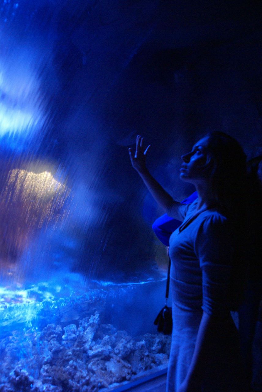 Татьяна Антонова Викторовна | Москва