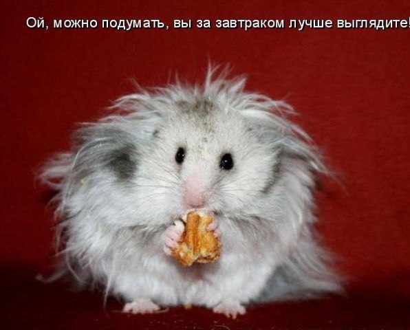 Юля Капелюшок | Киев