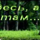 №16, Юра Тарчан №16, Юра Тарчан