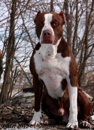 Александр Кореньков | Москва