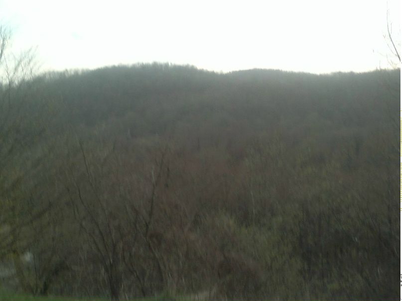 Боря Босов Дмитриевич | Приморско-Ахтарск