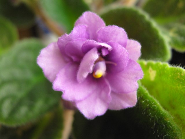 Алексей Андреев | Москва