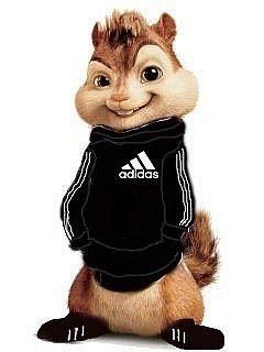 №16, Рамиз Рахманов, Санкт-Петербург №16, Рамиз Рахманов, Санкт-Петербург