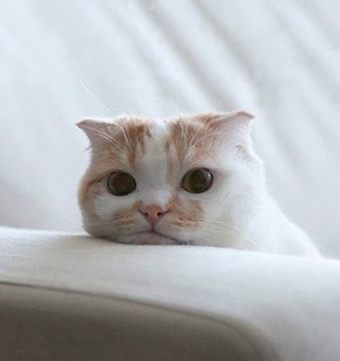 Екатерина Гордеева | Нижний Новгород