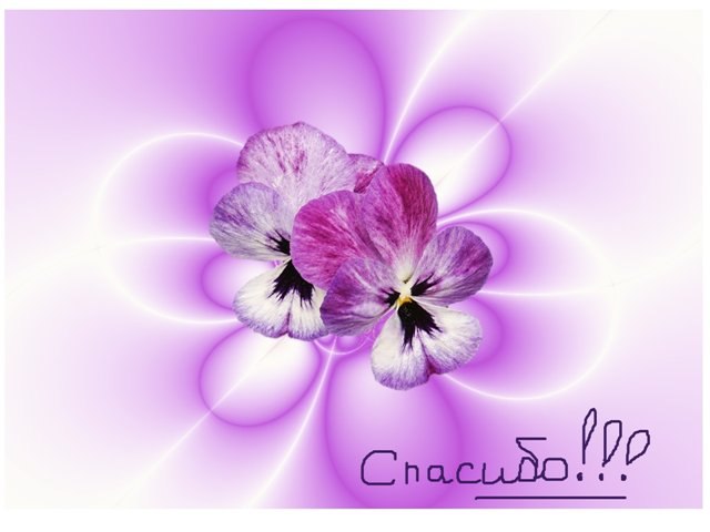 Аn Сальникова | Выборг