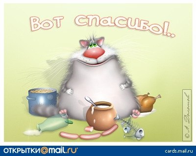 Елена Свеколкина chanpasapavin | Житомир