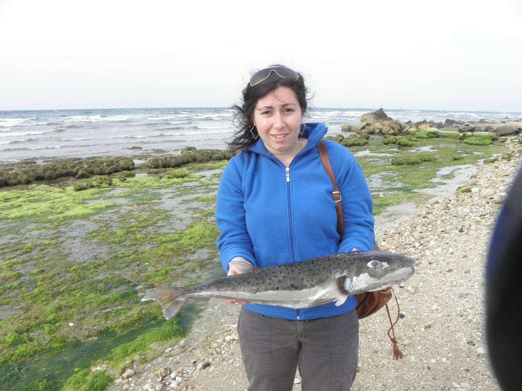 Ольга Корякина | Хайфа