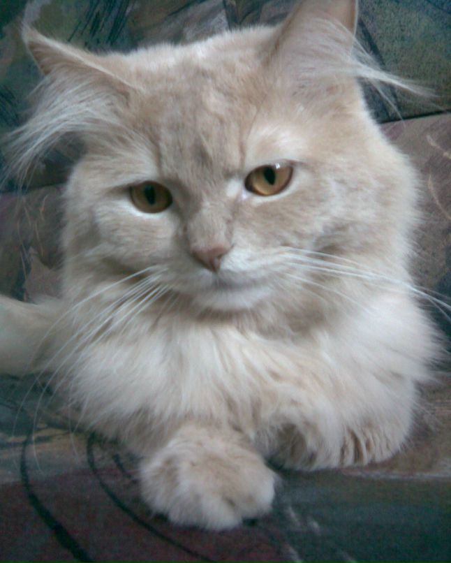 Максим Кузяков | Москва