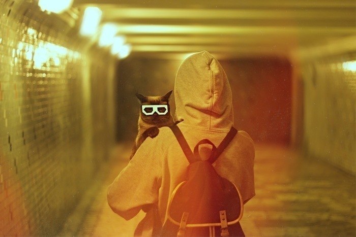 Настя Сашина | 