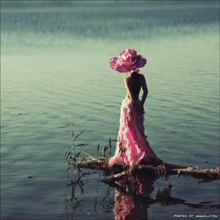 Nusya Tofighi | Bruxelles