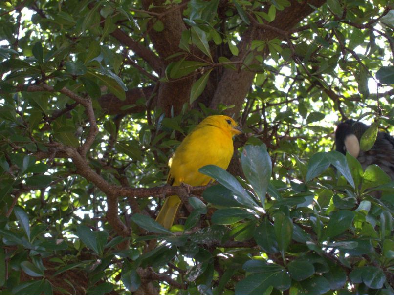Лилия Адамович | Санкт-Петербург