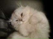№5 Екатерина Иванова : профиль, фото, статус - ВКонтакте №5 Екатерина Иванова : профиль, фото, статус - ВКонтакте