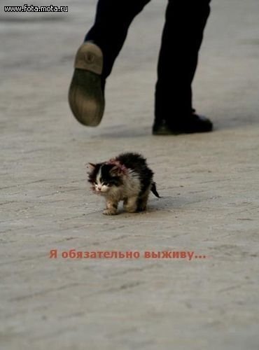 №72, Павел Русин №72, Павел Русин