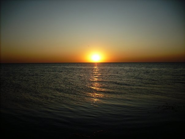 Александер Крель | Hamburg