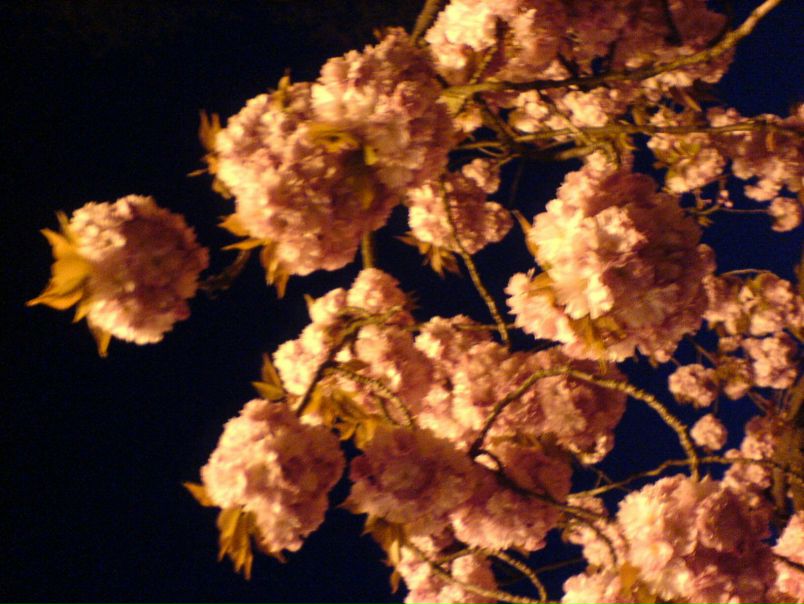 №134, Броня Сопилка, Одесса №134, Броня Сопилка, Одесса