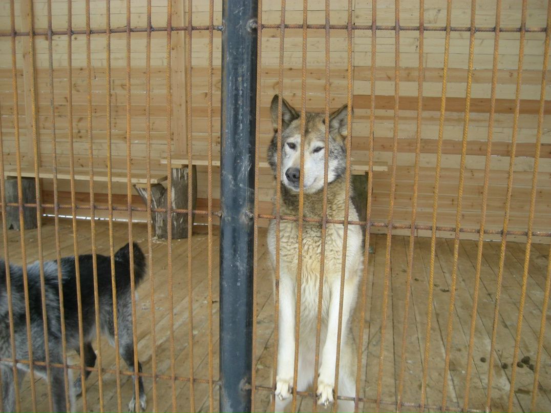 Лена Елагина | Санкт-Петербург