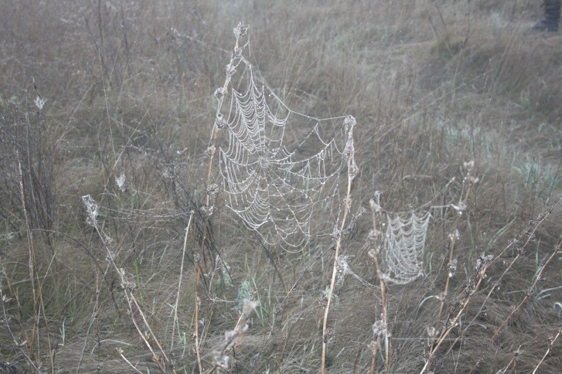 Маргарита Иванова | Москва