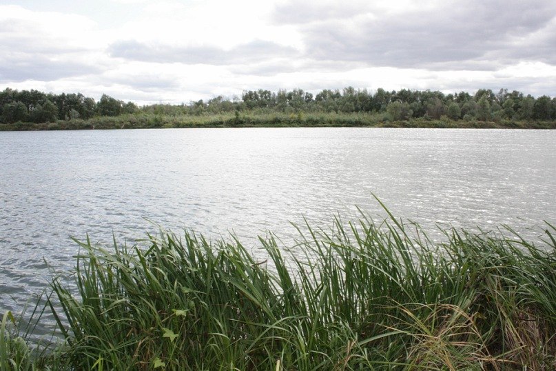 Маргарита Иванова | Москва