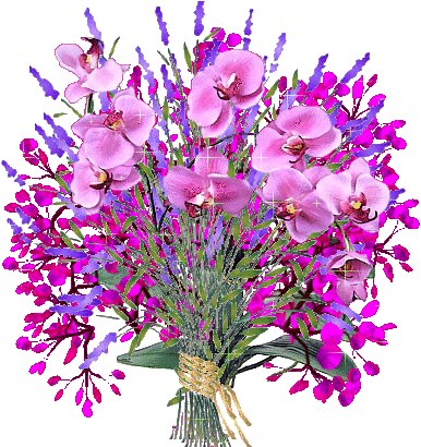 Ksenia Ukraintseva | Thessaloniki