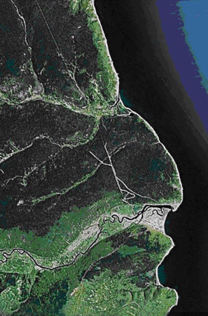 Ксения Трошко | 