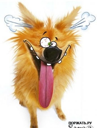 Антон Тонский | Санкт-Петербург